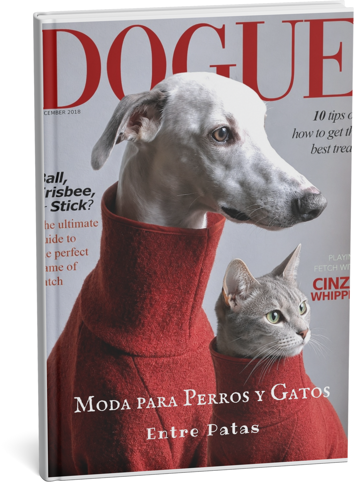 Entre Patas  - Moda para perros y gatos