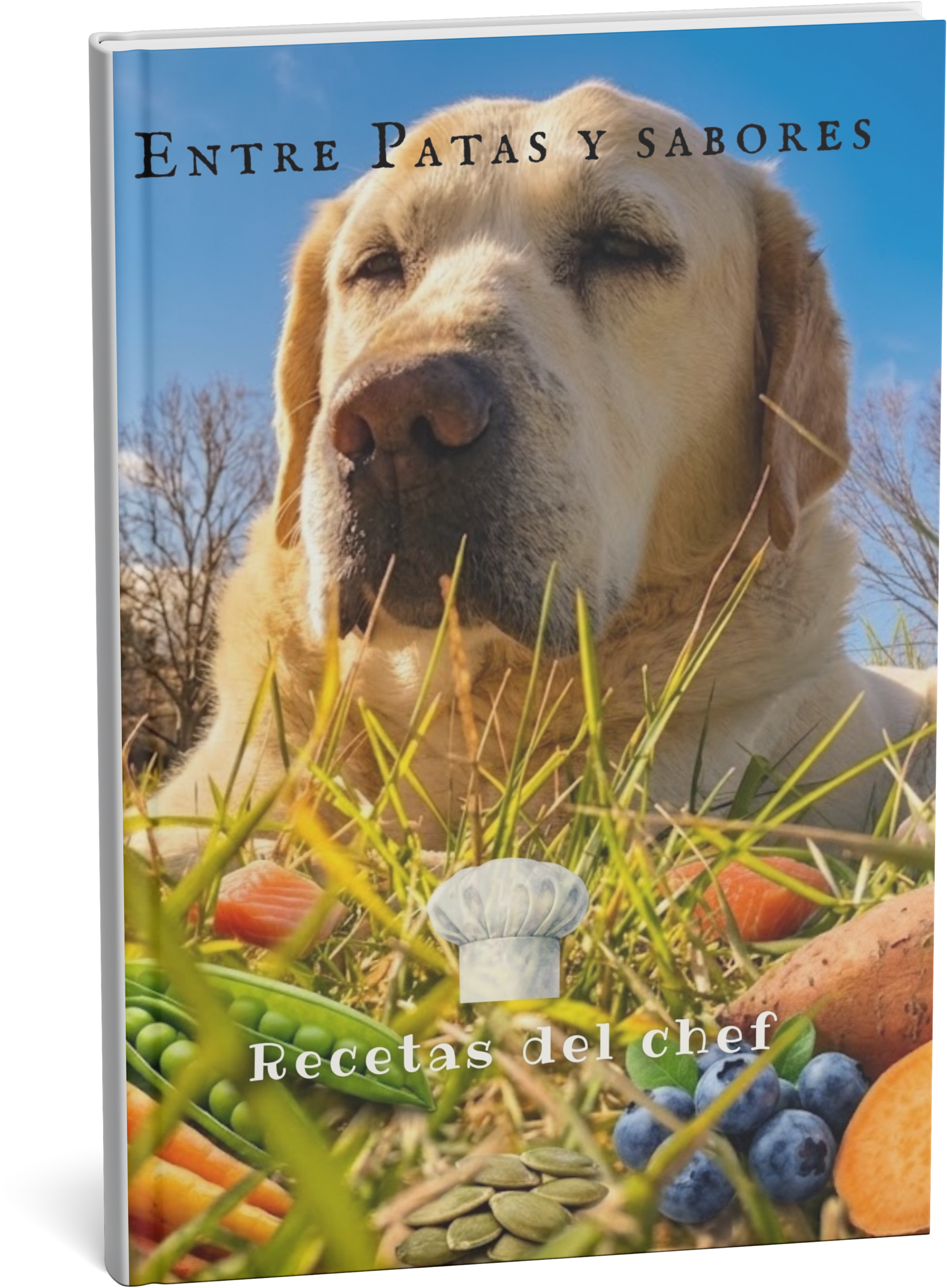 Entre Patas y Sabores - Recetas del chef