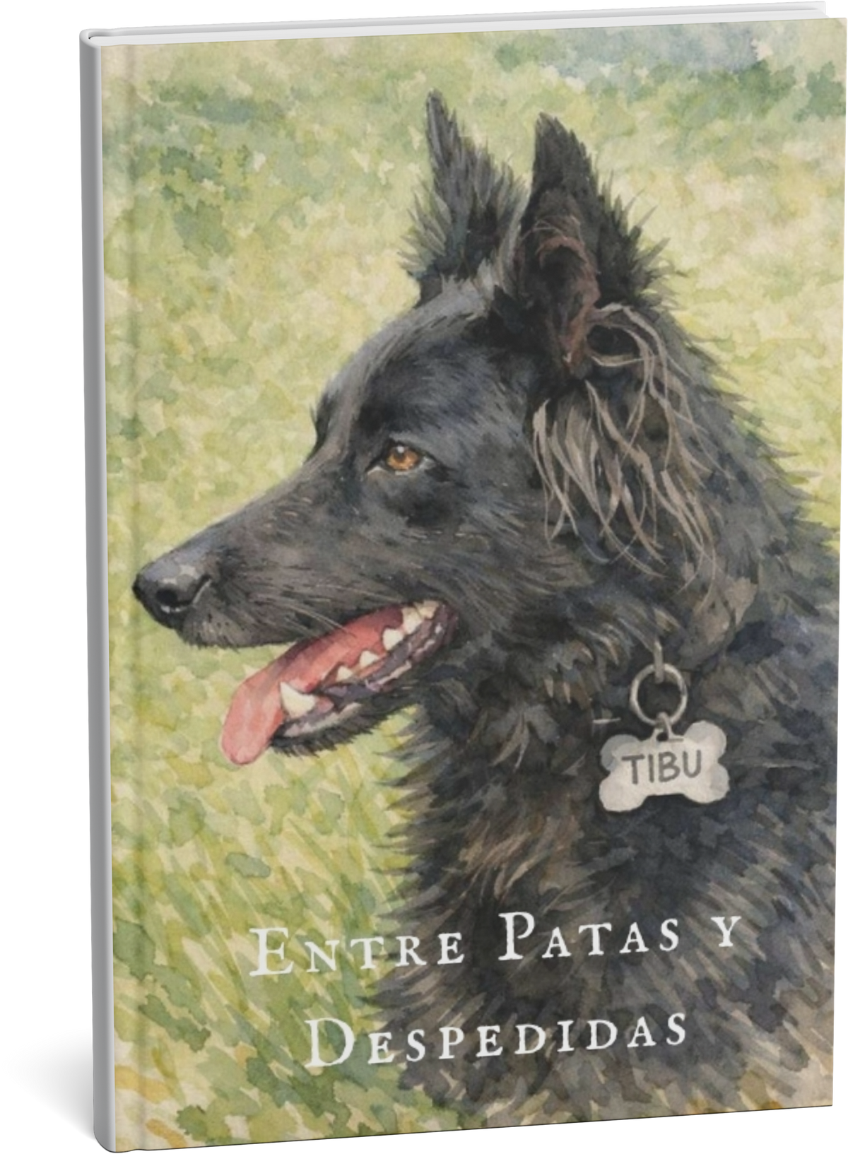 Entre Patas y Despedidas