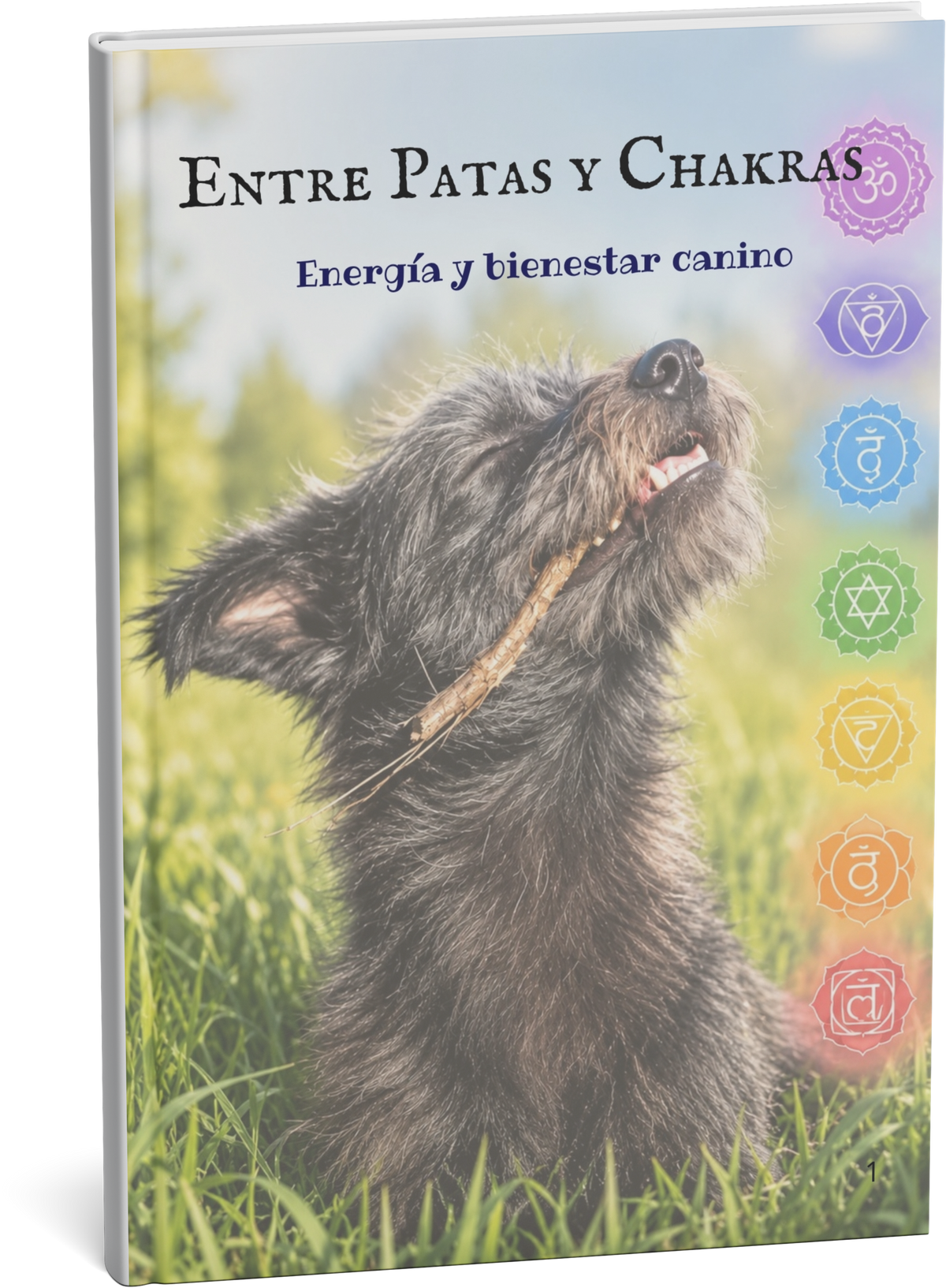 Entre Patas y Chakras
