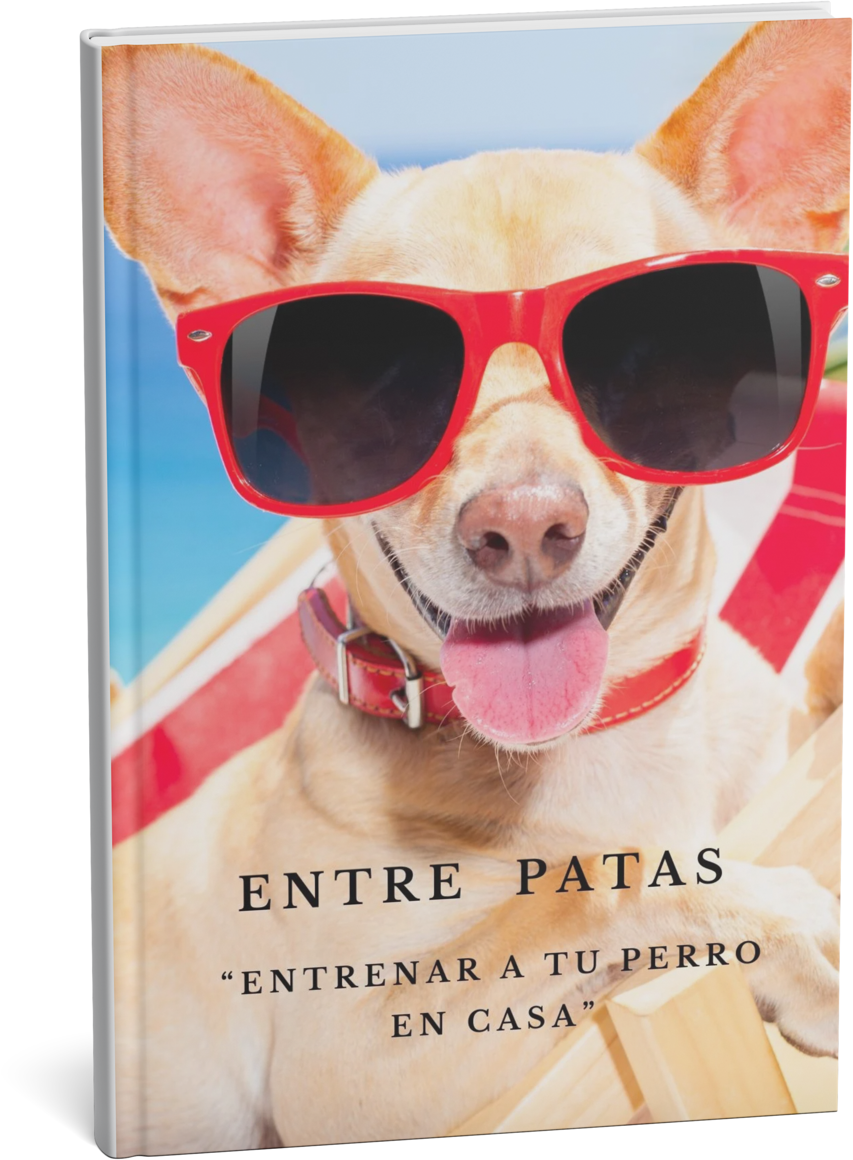 Entre Patas "Algunos Secretos para entrenar a mi perro en casa"