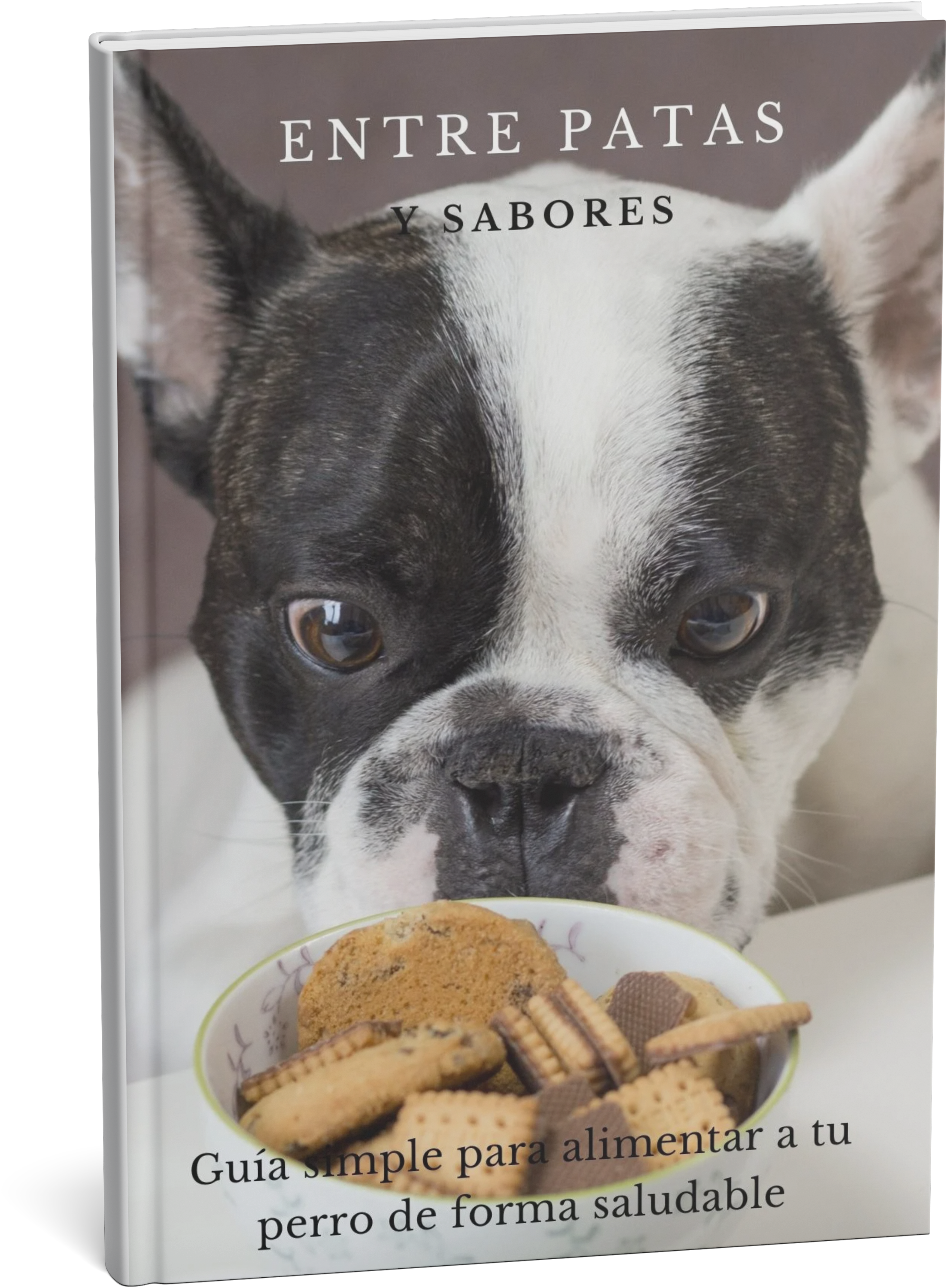 Entre Patas "Guia simple para alimentar a tu perro de forma saludable"