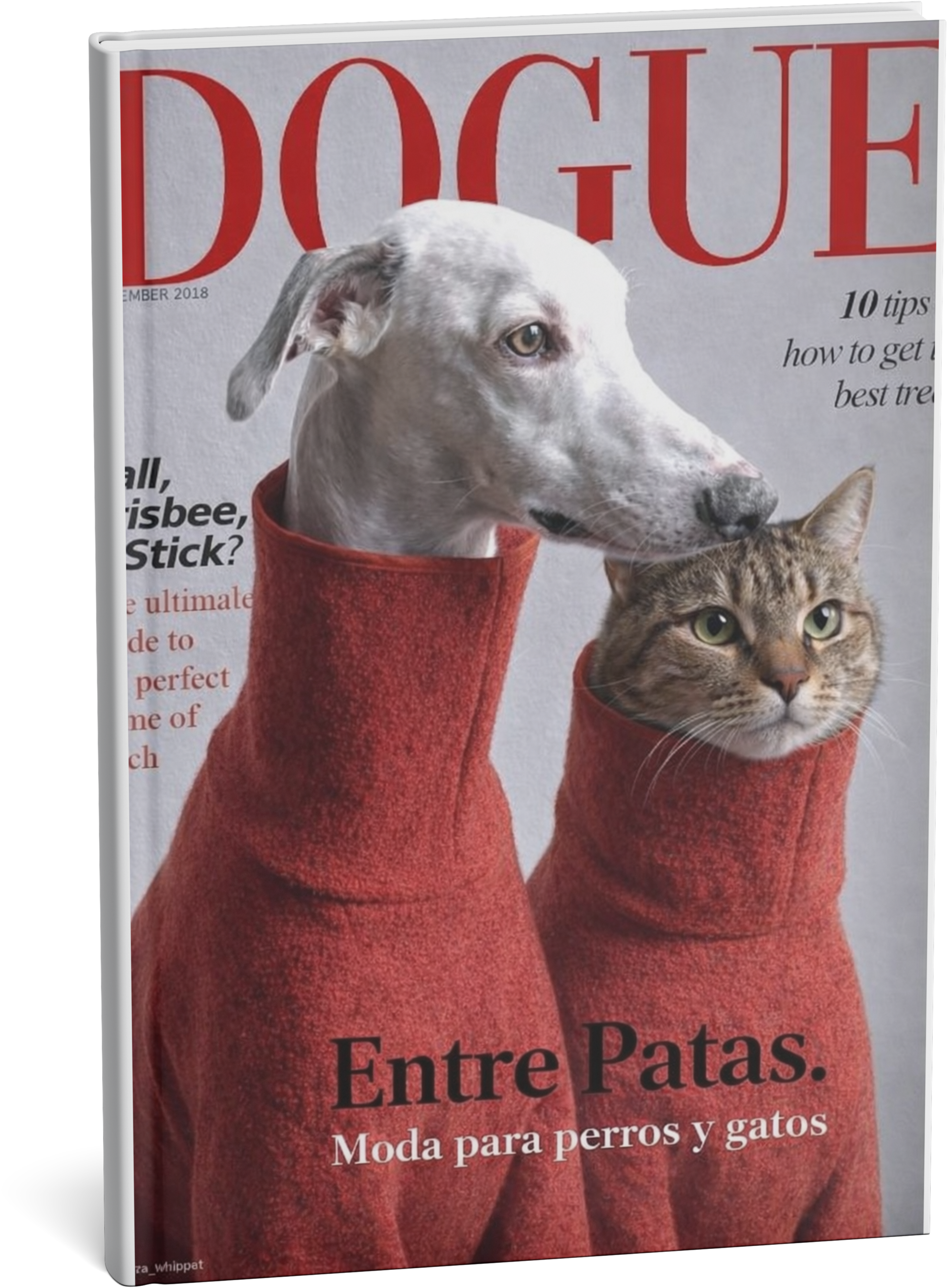 Entre Patas  - Moda para perros y gatos