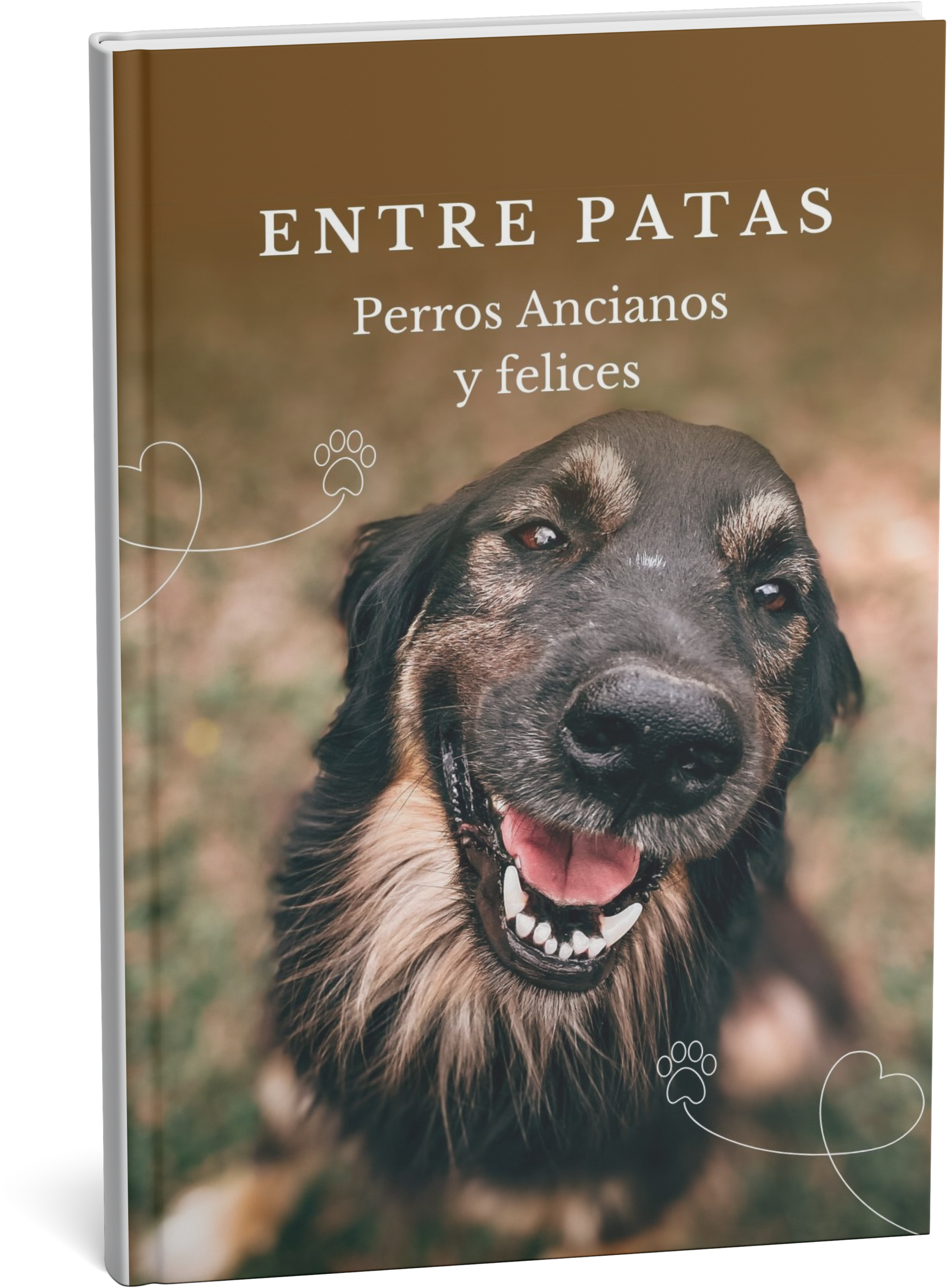 MasterClass: Perros Ancianos, Sanos y Felices